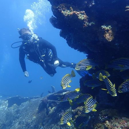 Palm Springs Bali Dive Resort Туламбен Экстерьер фото
