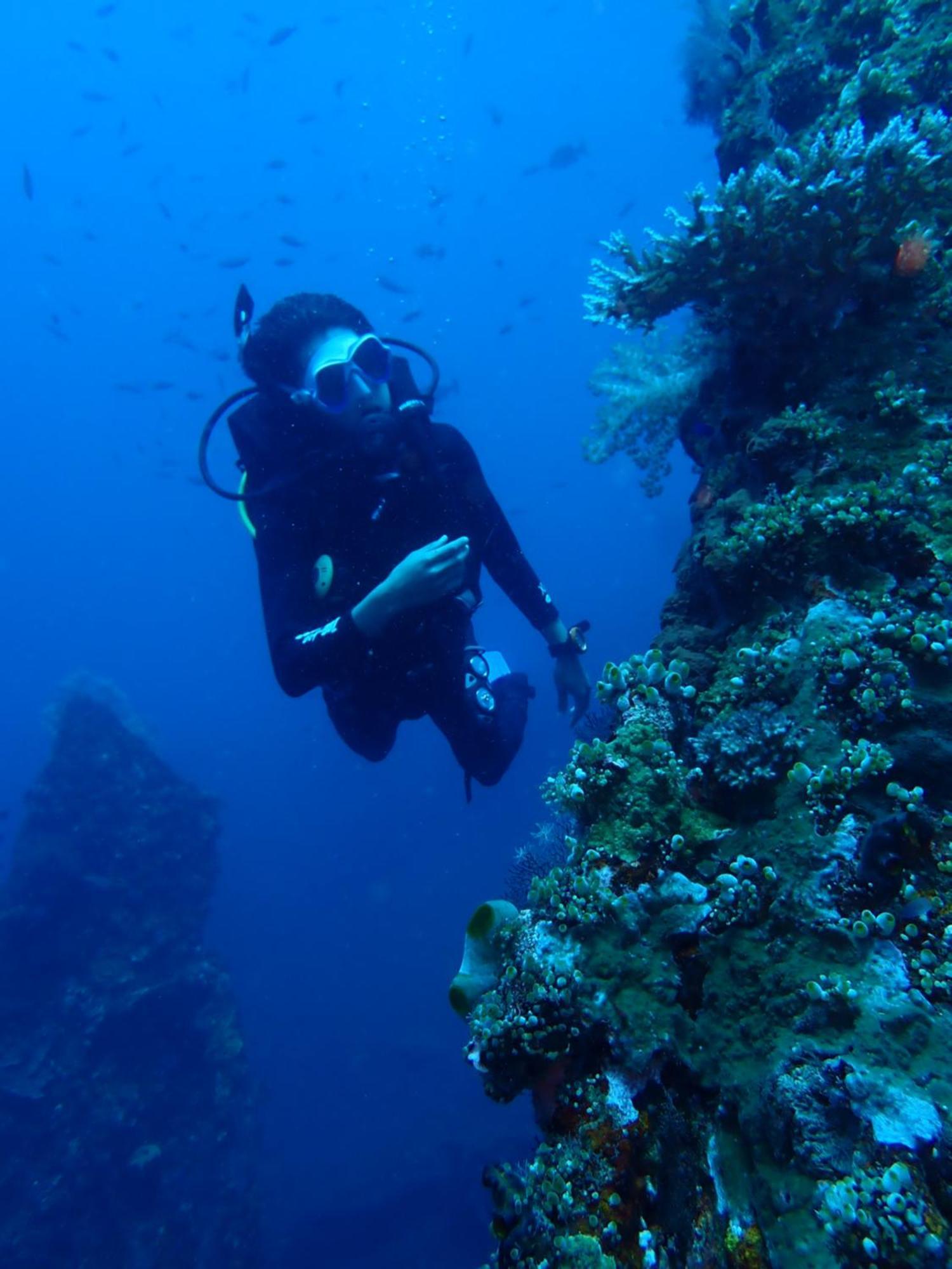 Palm Springs Bali Dive Resort Туламбен Экстерьер фото